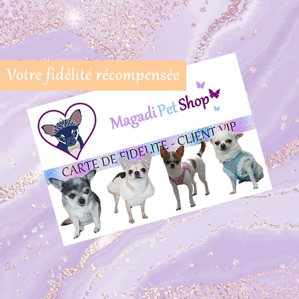 Magadi Petshop; Boutique de vêtements, harnais et accessoires pour  chihuahuas et petits chiens